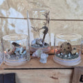 Necroterrarium Workshop Ticket