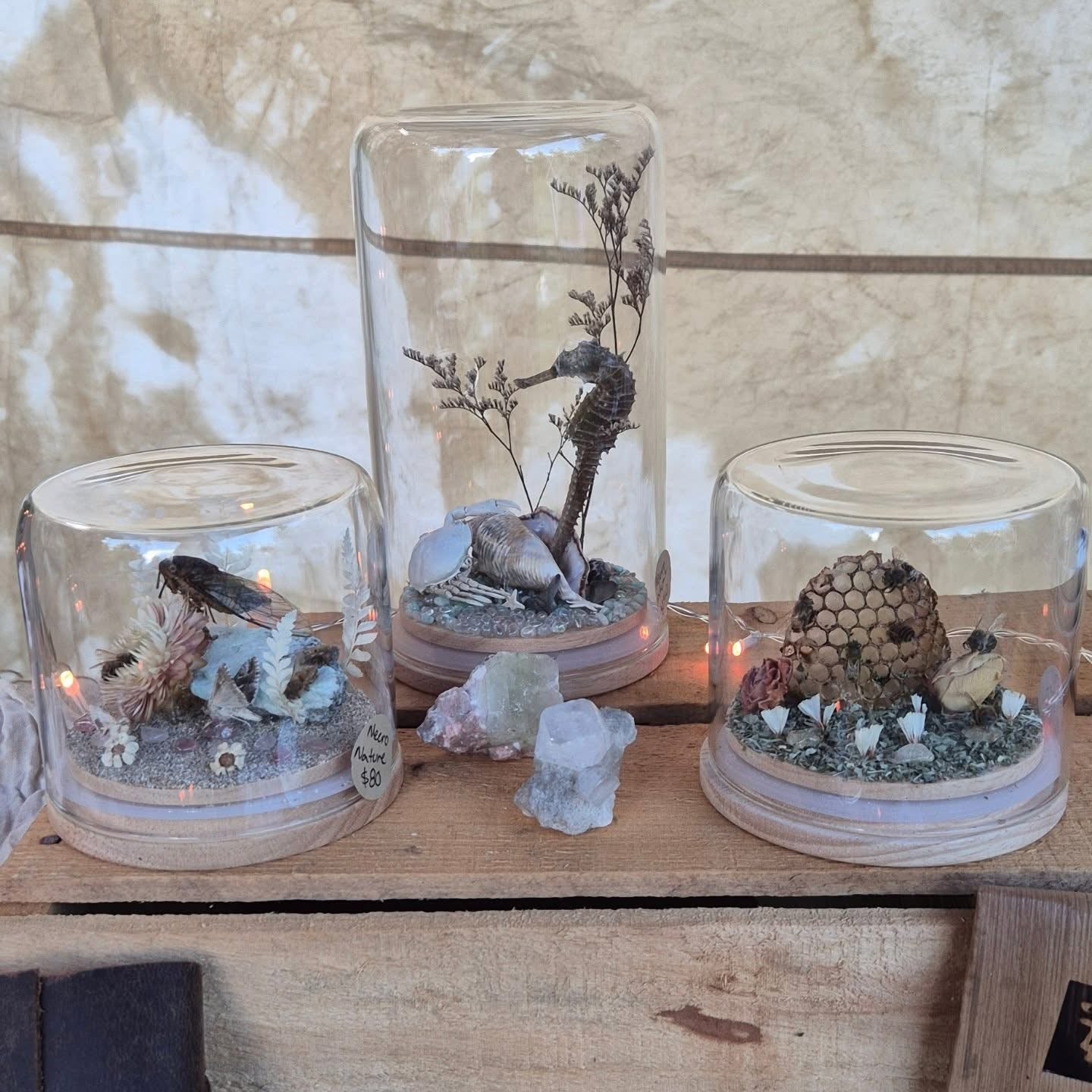 Necroterrarium Workshop Ticket
