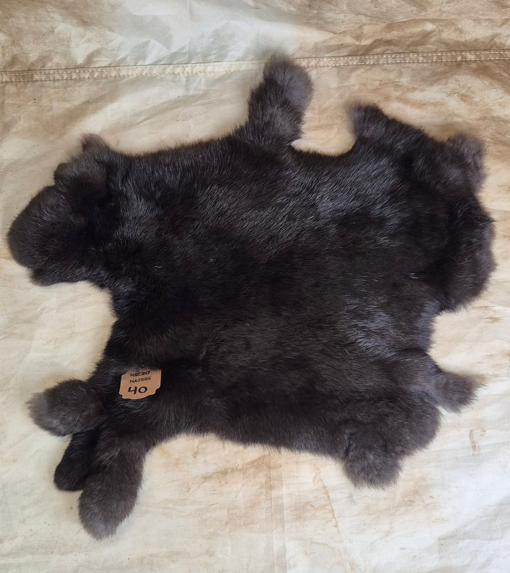 Black Rabbit Pelts