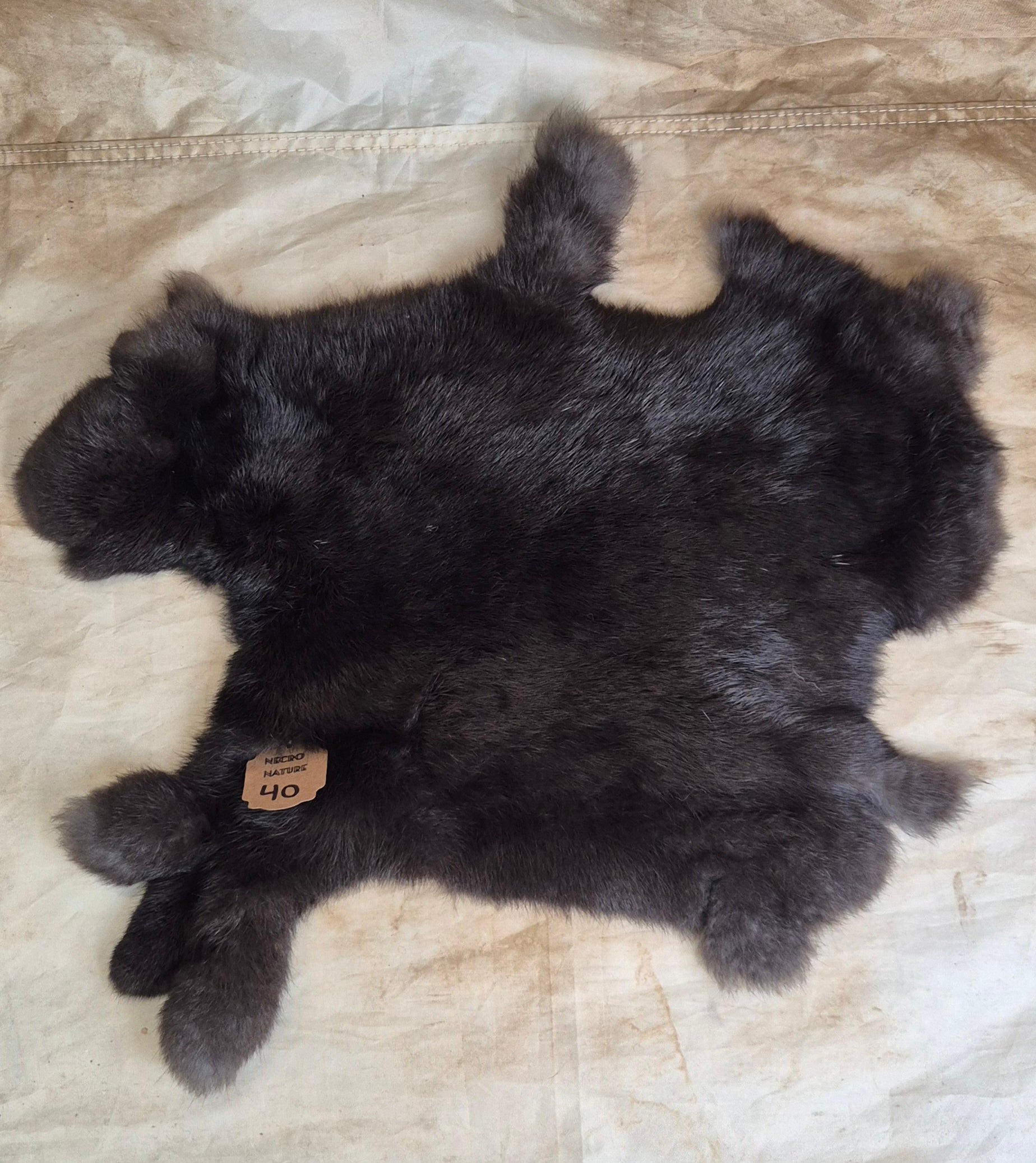 Black Rabbit Pelts