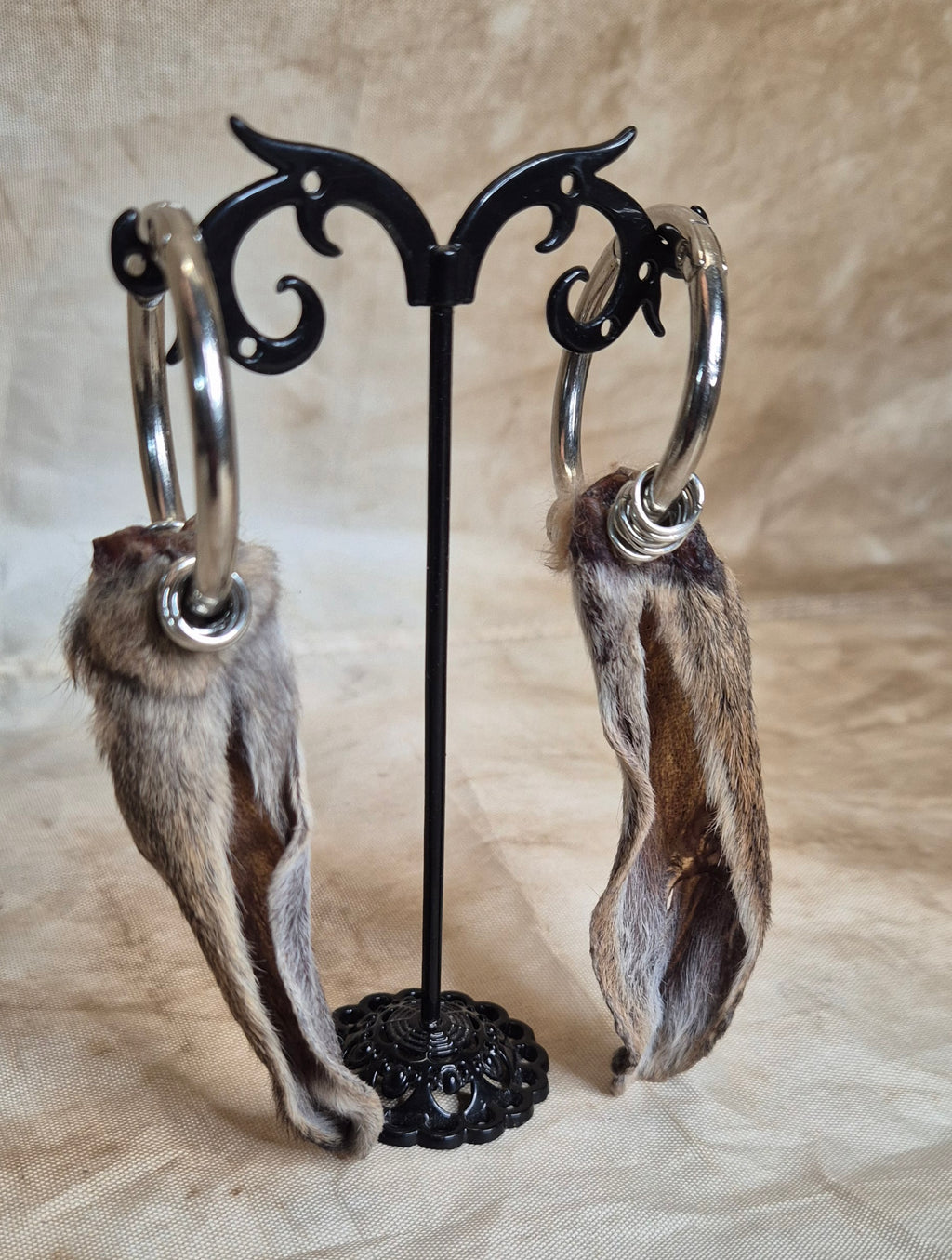 Bunny Ear Silver Strechers #3