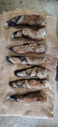 Red Fox Tail