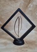 Discount Frame