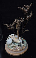 Seahorse Dome