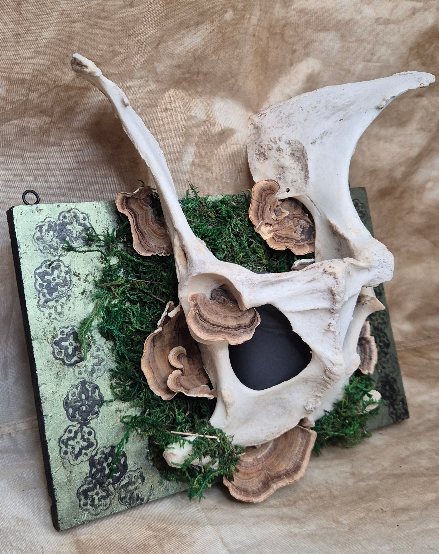 The Hallow Bloom