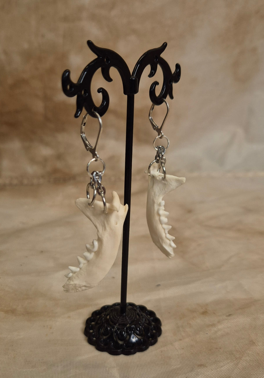 Ferret Jaw Earrings