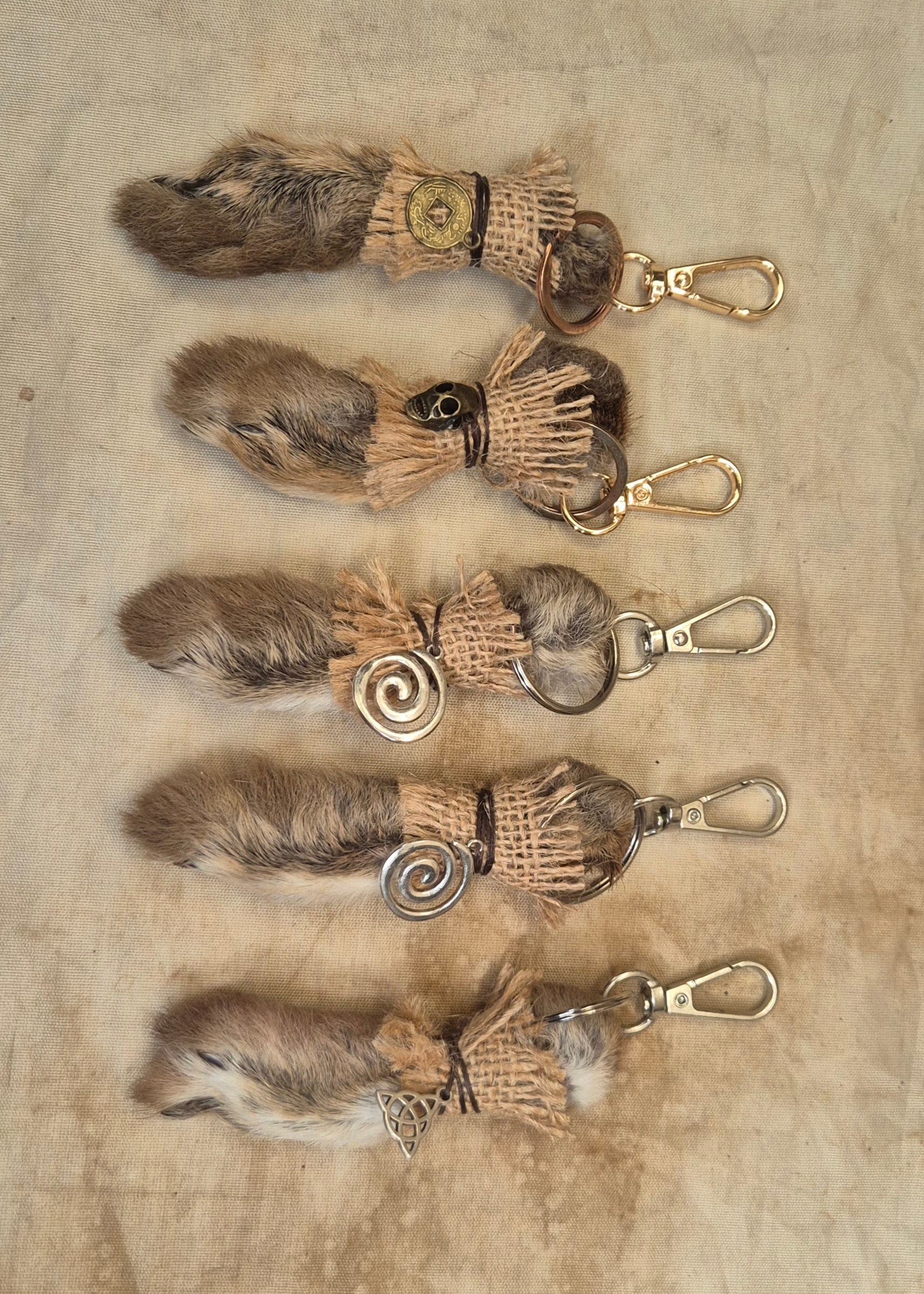Rabbit Paws