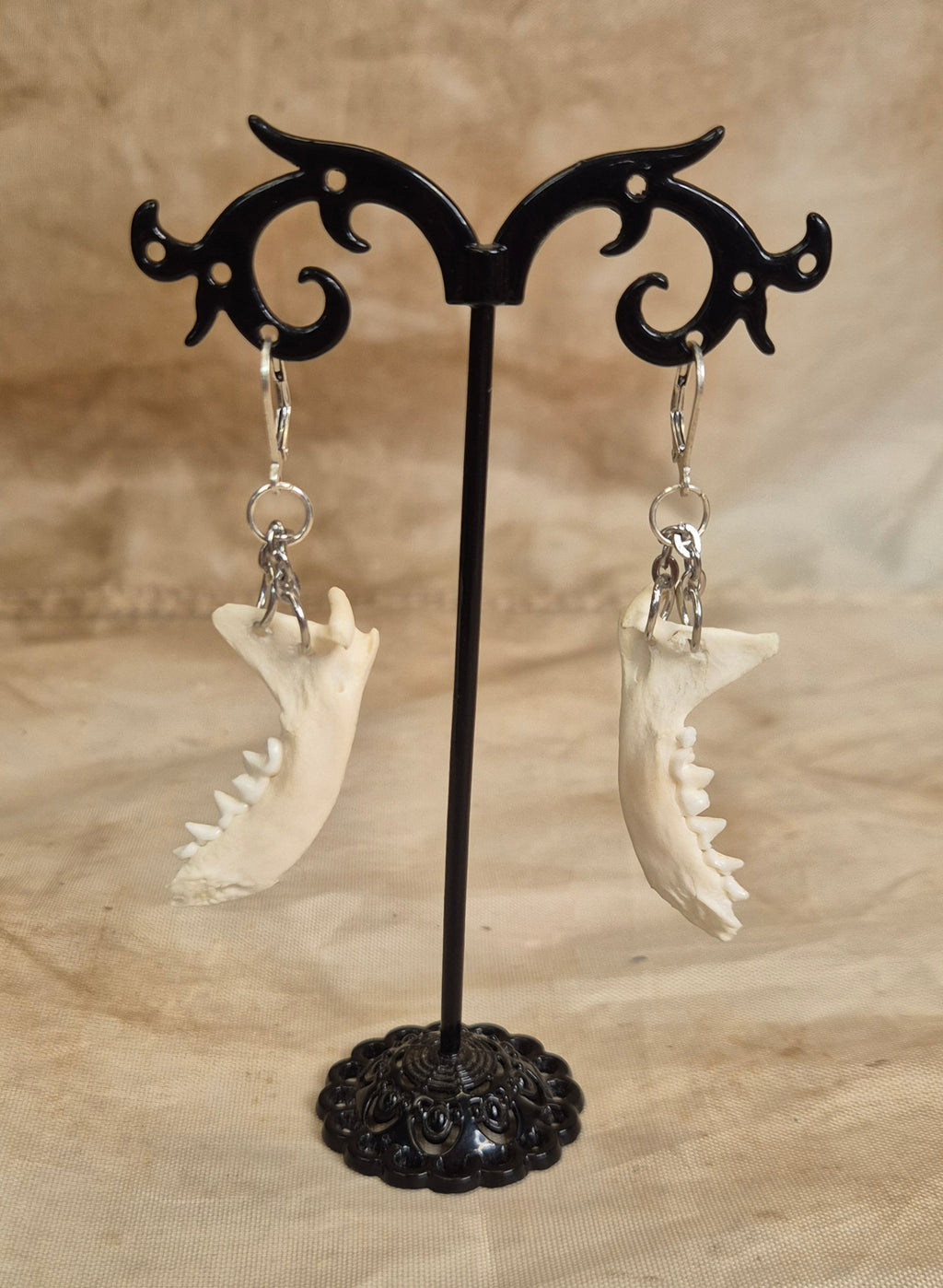 Ferret Jaw Earrings