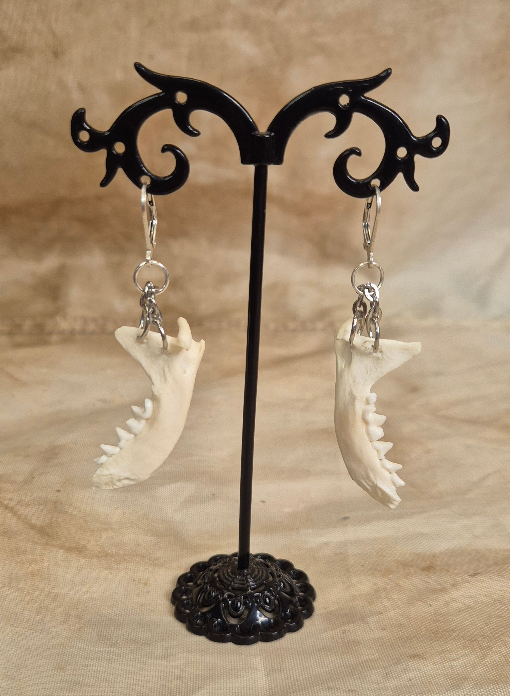 Ferret Jaw Earrings