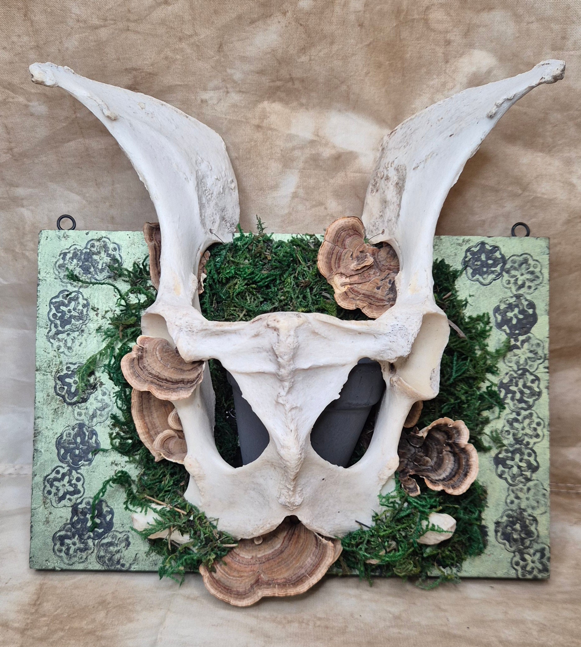 The Hallow Bloom