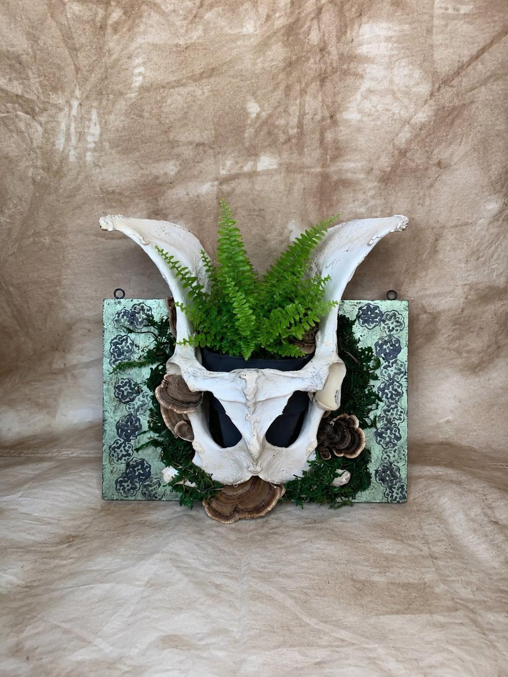 The Hallow Bloom