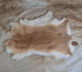 Rabbit Pelt