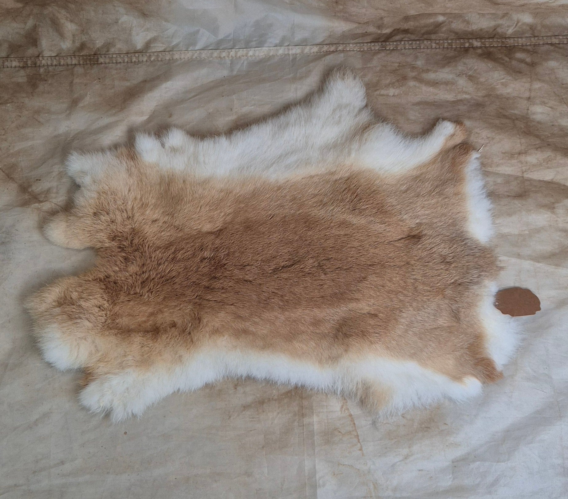 Rabbit Pelt