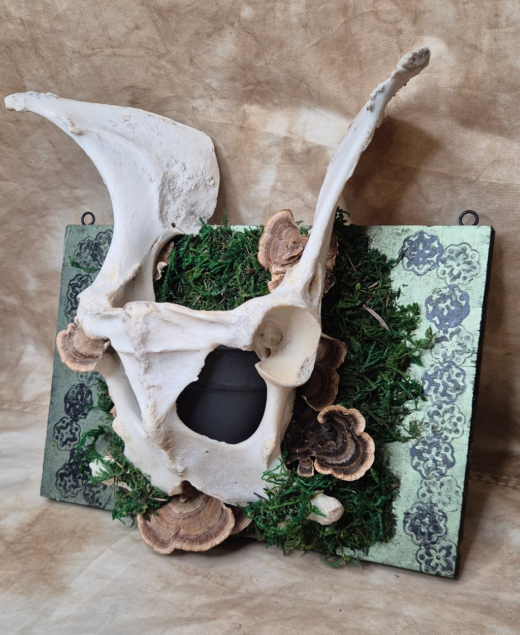 The Hallow Bloom