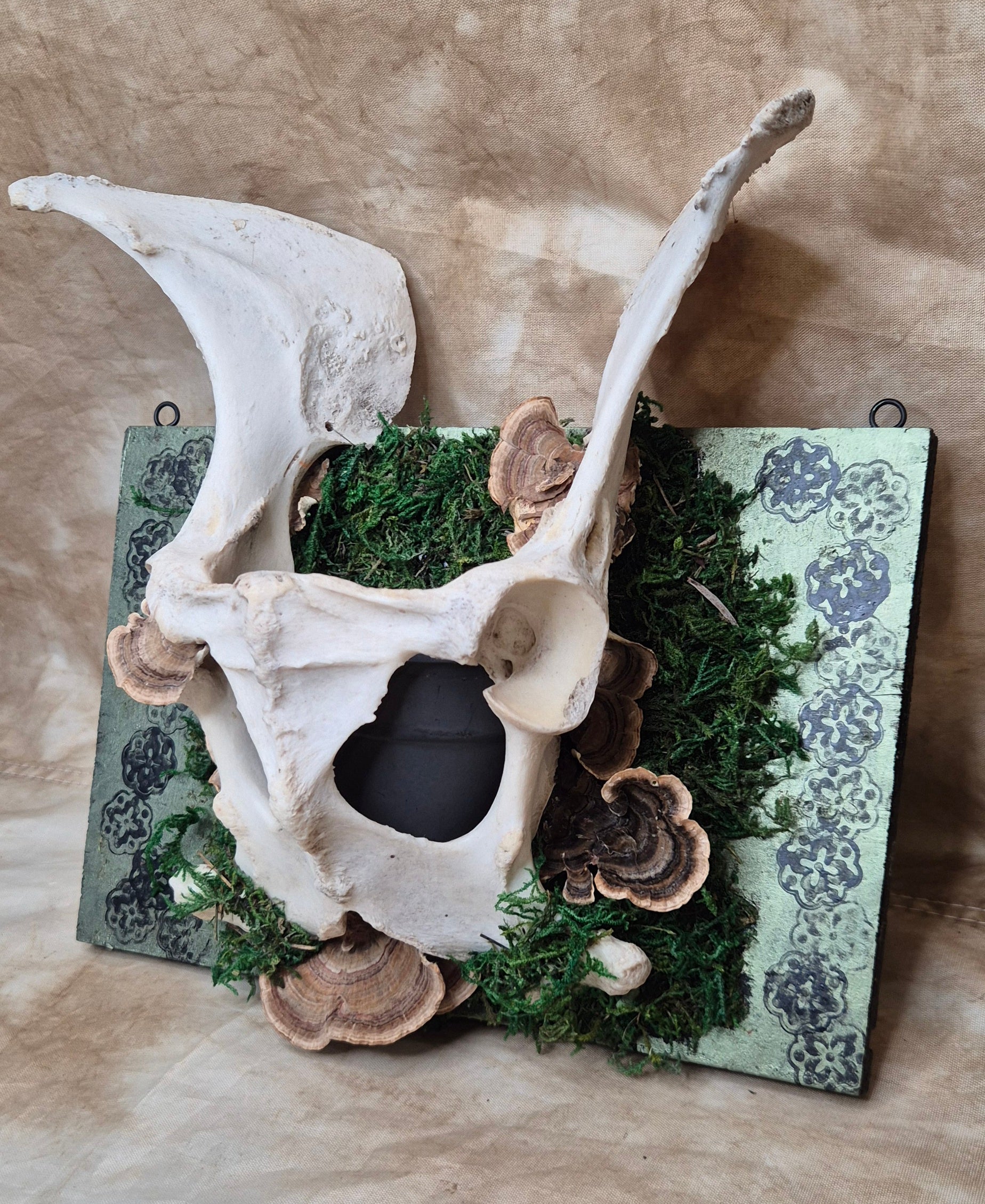 The Hallow Bloom